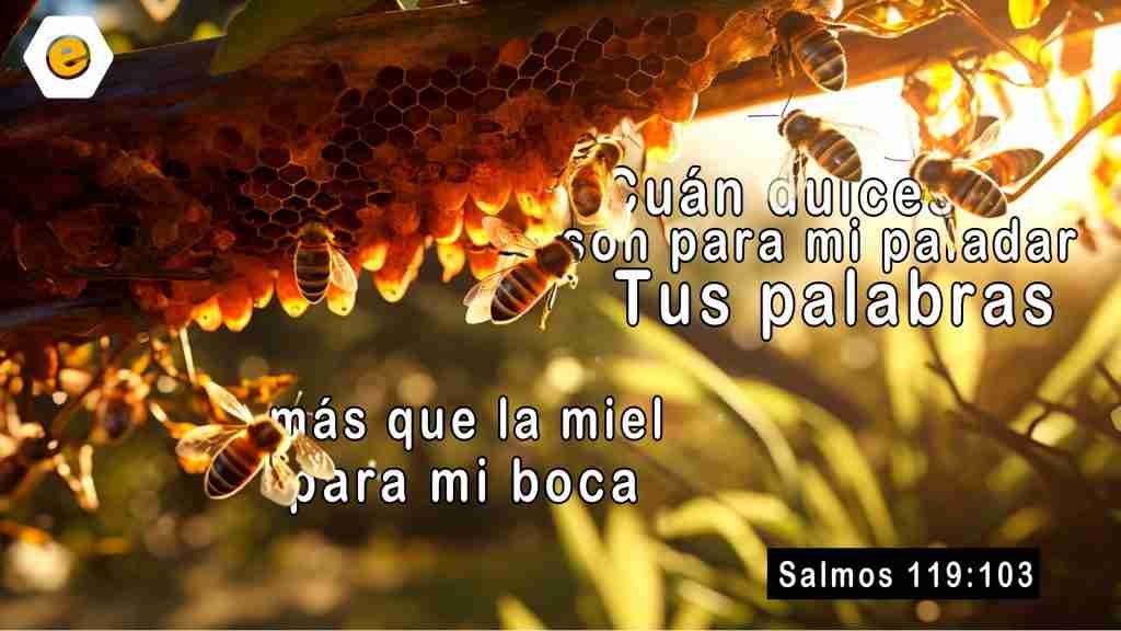 La dulzura de La Palabra. Salmos 119:103