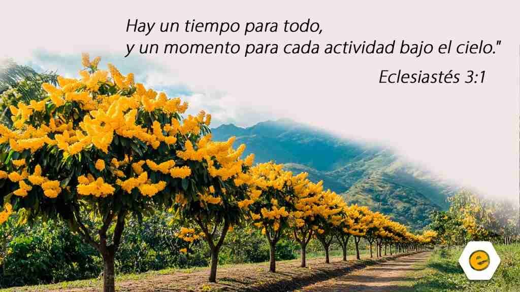 Devocional para hoy | La paciencia en el proceso de Dios