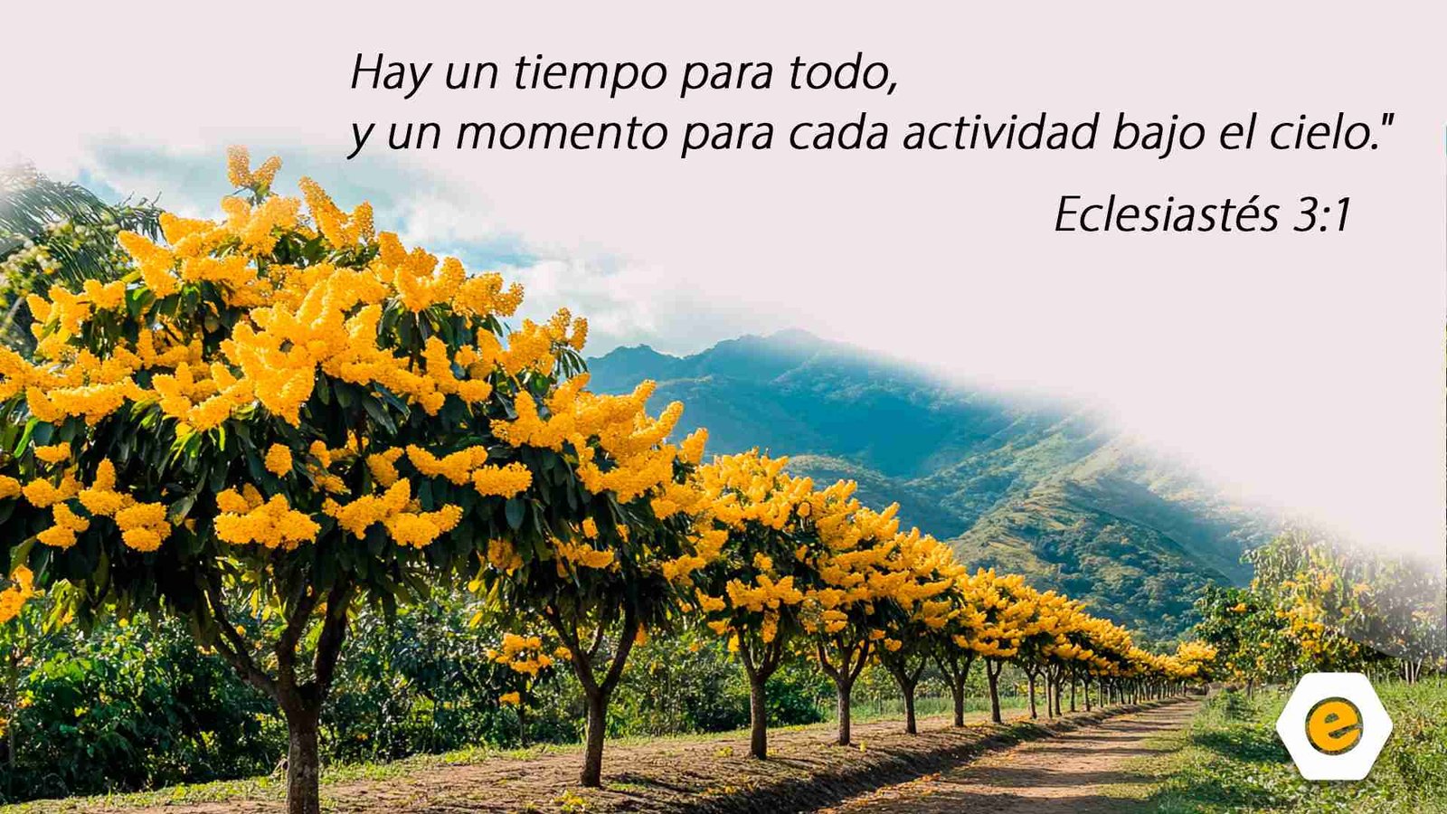 Devocional para hoy | La paciencia en el proceso de Dios