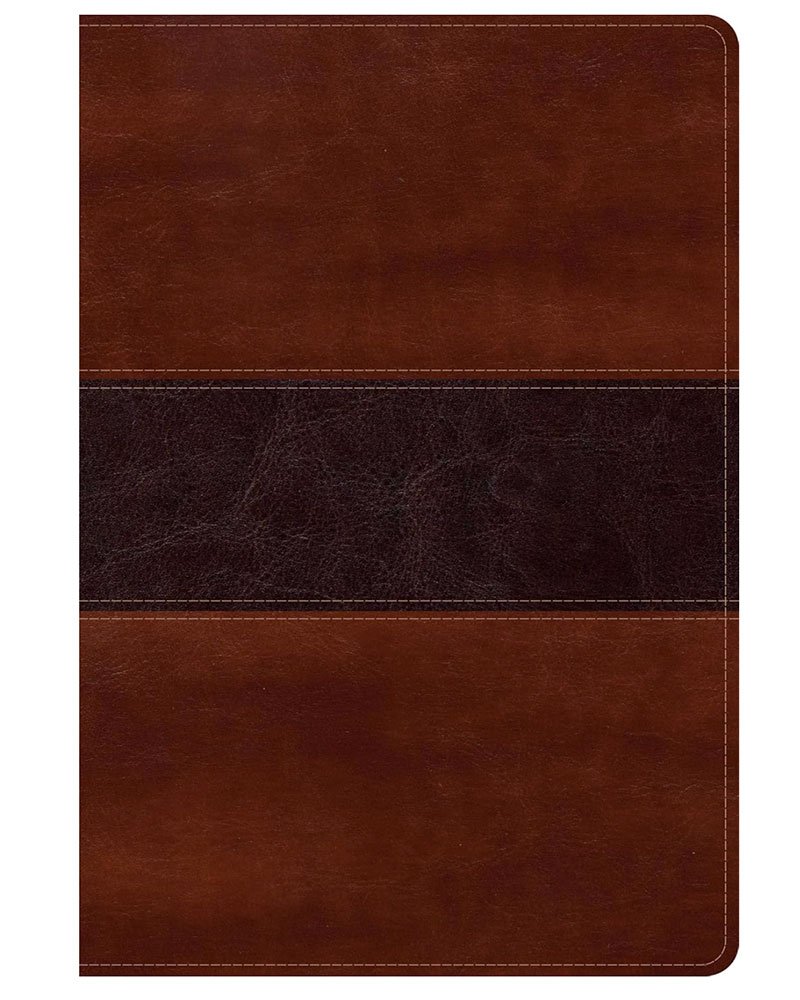 Biblia del Pescador RVR1960